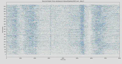 raster plot