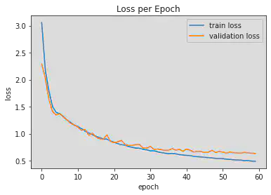 loss function during training